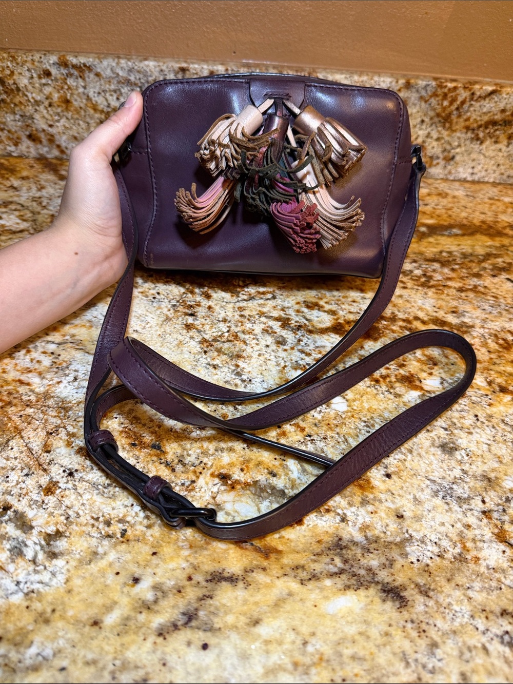 Rebecca Minkoff Crossbody Bag